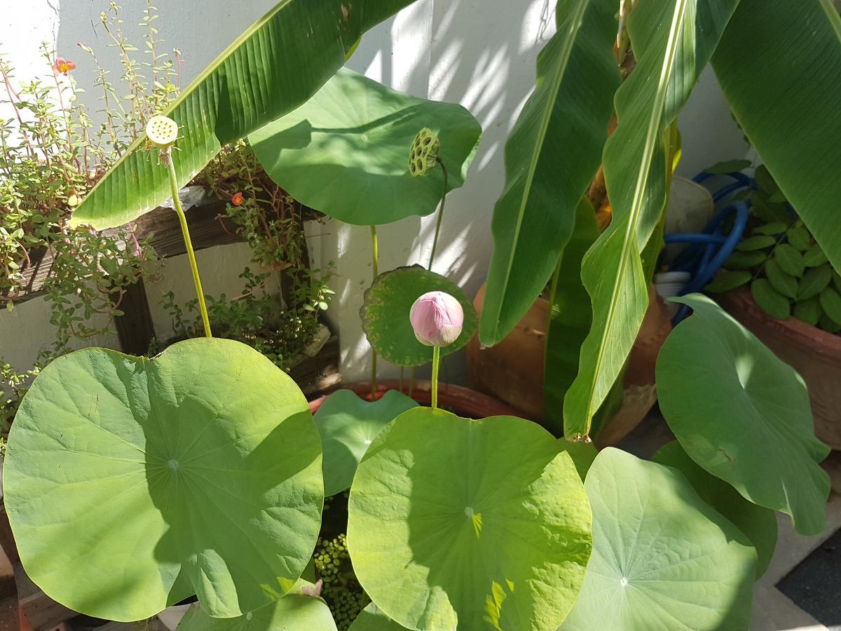 La La House Homestay Nha Trang Kültér fotó