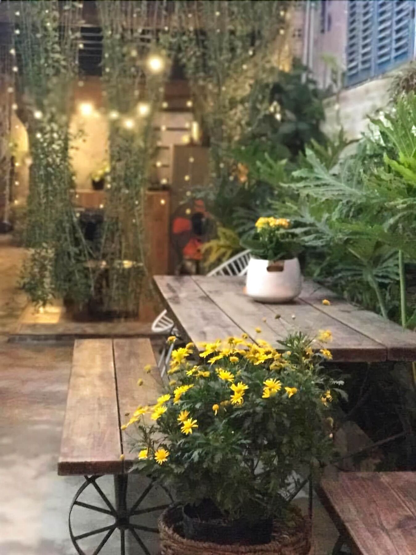 La La House Homestay Nha Trang Kültér fotó